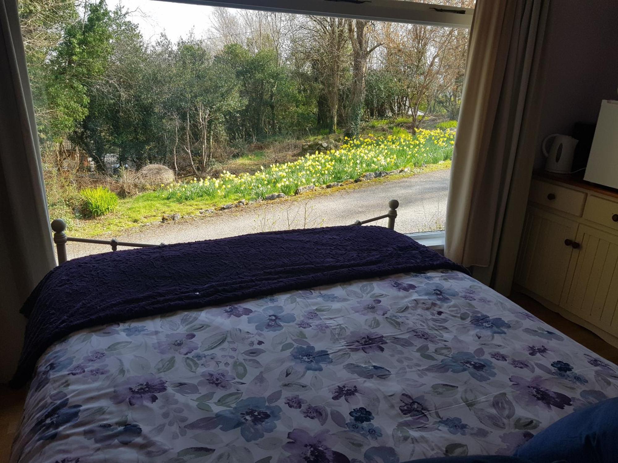 Ferienwohnung Hollybanks Moycullen Zimmer foto